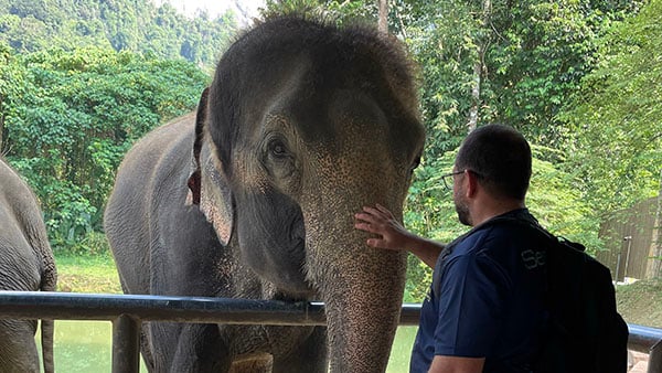 Elephant Hills encounter_6872